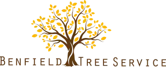 Benfield Tree Service