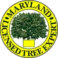 Maryland Licensed Tree Expert