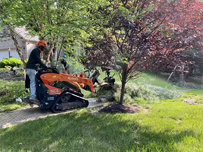 Tree Services Company, Millersville, MD Tree Services Company, Millersville, MD
